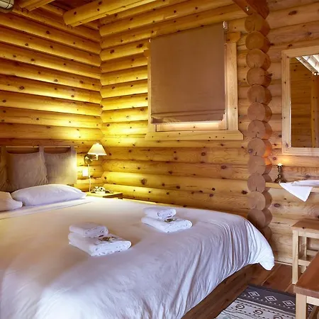 Chalet Hyades Mountain Kato Sinikia Trikalon