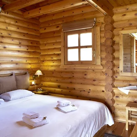 Chalet Hyades Mountain Kato Sinikia Trikalon